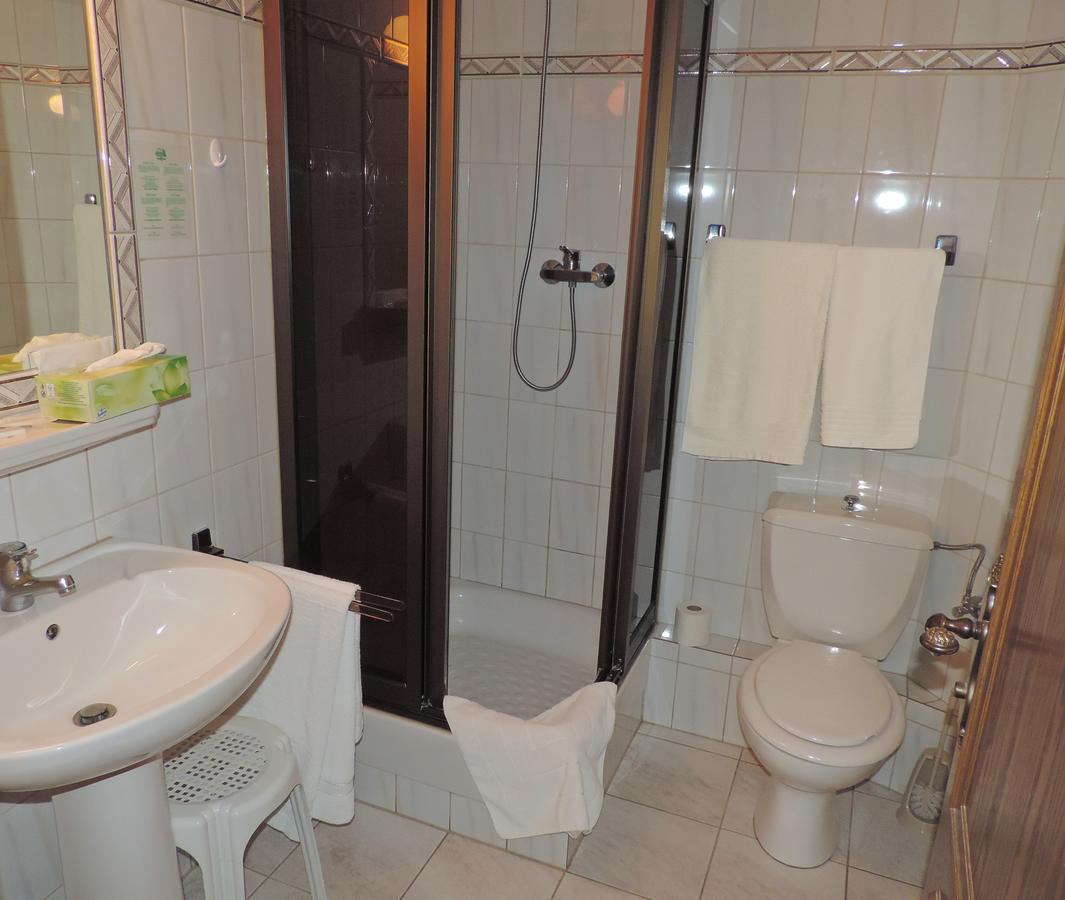 Hotel Restaurant Cristal Wintzenheim Εξωτερικό φωτογραφία